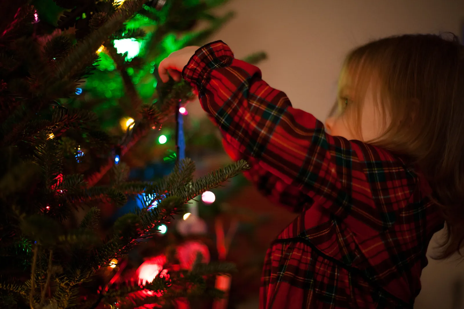 Coloriage Noël : sapins, rennes et cadeaux à imprimer
